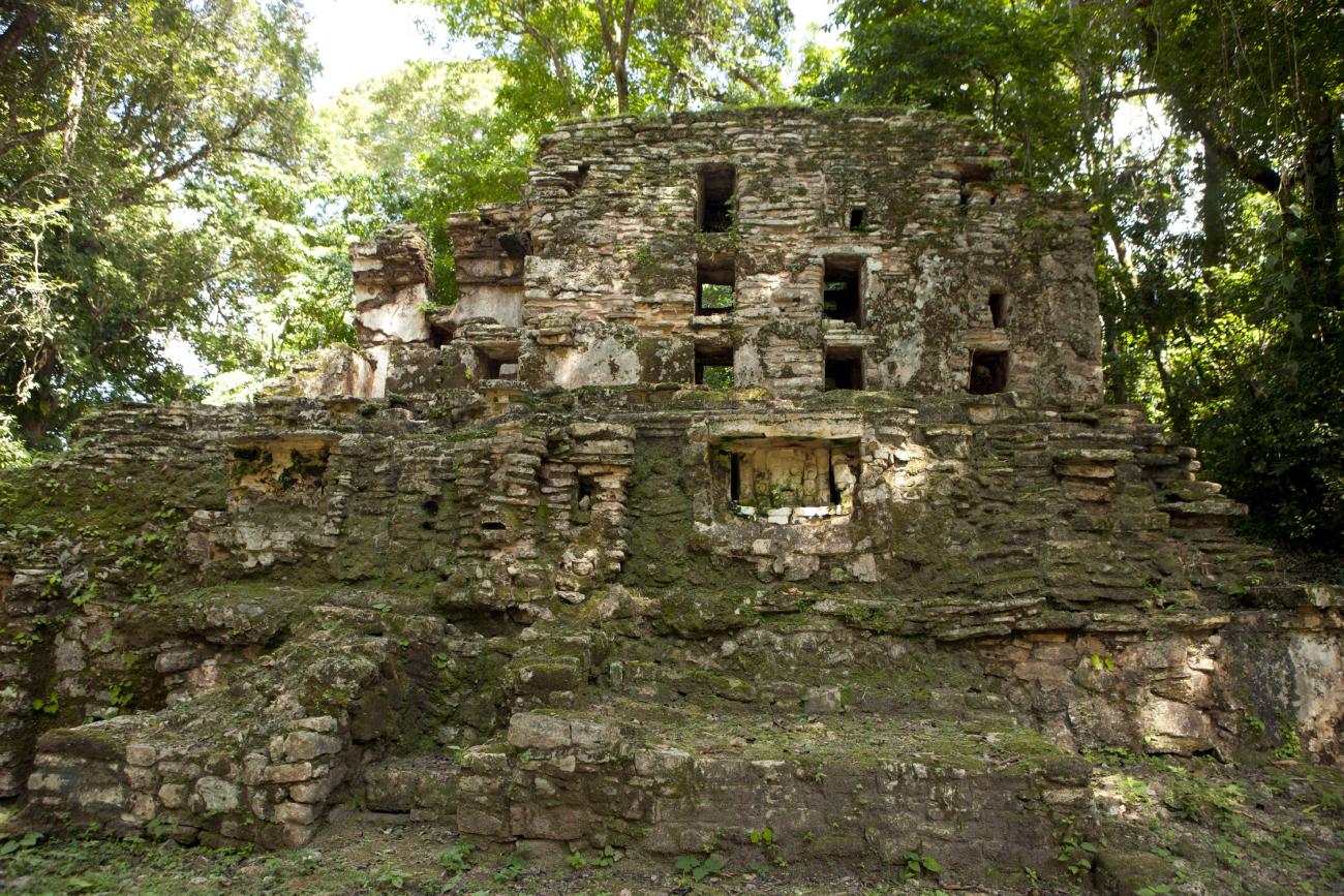 Edificio 6