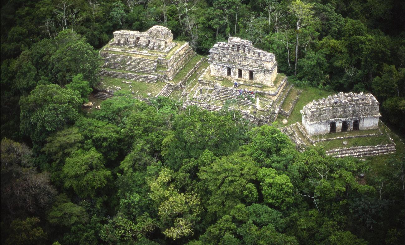 Edificios 39 y 41