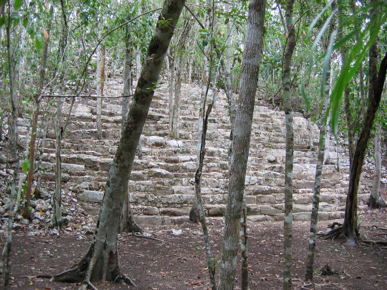 Cerro de la Estrella