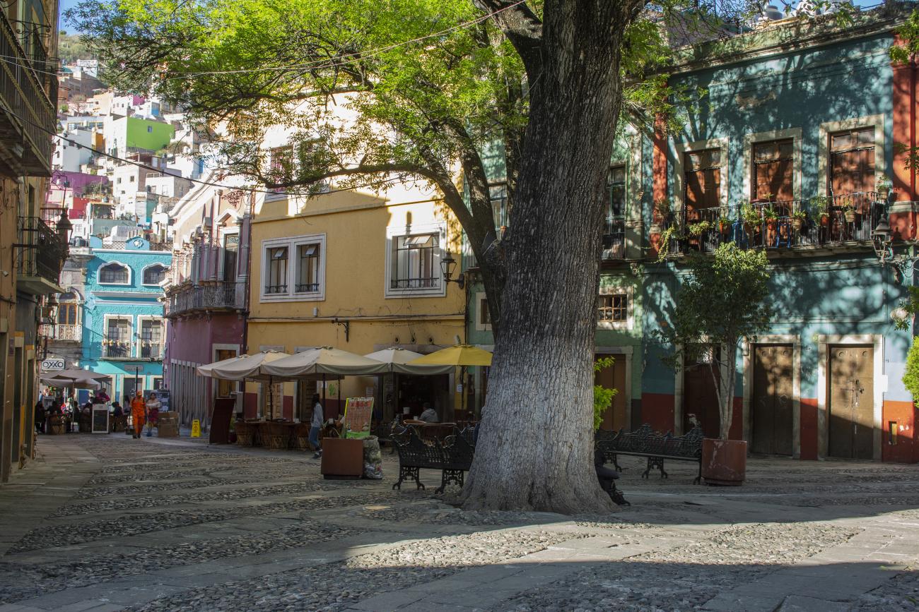 Plaza San Fernando