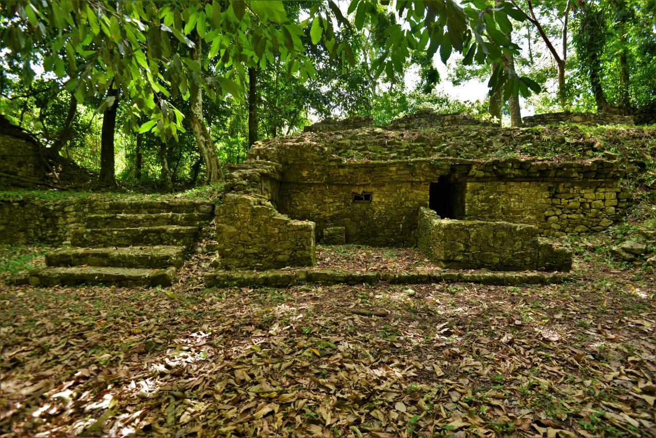 Grupo IV