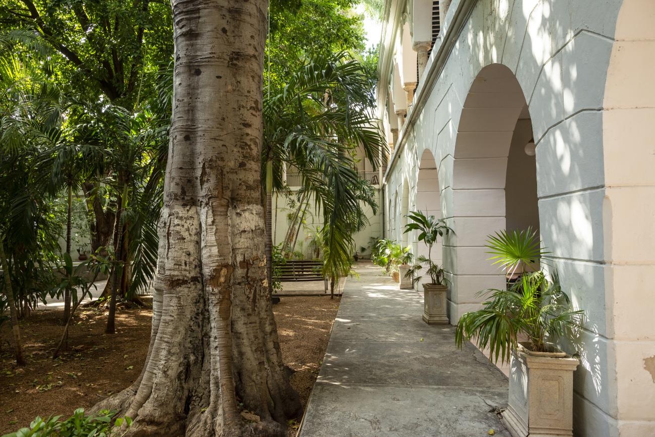 Ateneo Peninsular