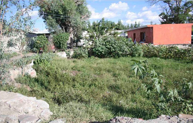 Hacienda Tejaluca