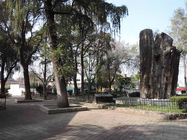 Glorieta de los Ahuehuetes
