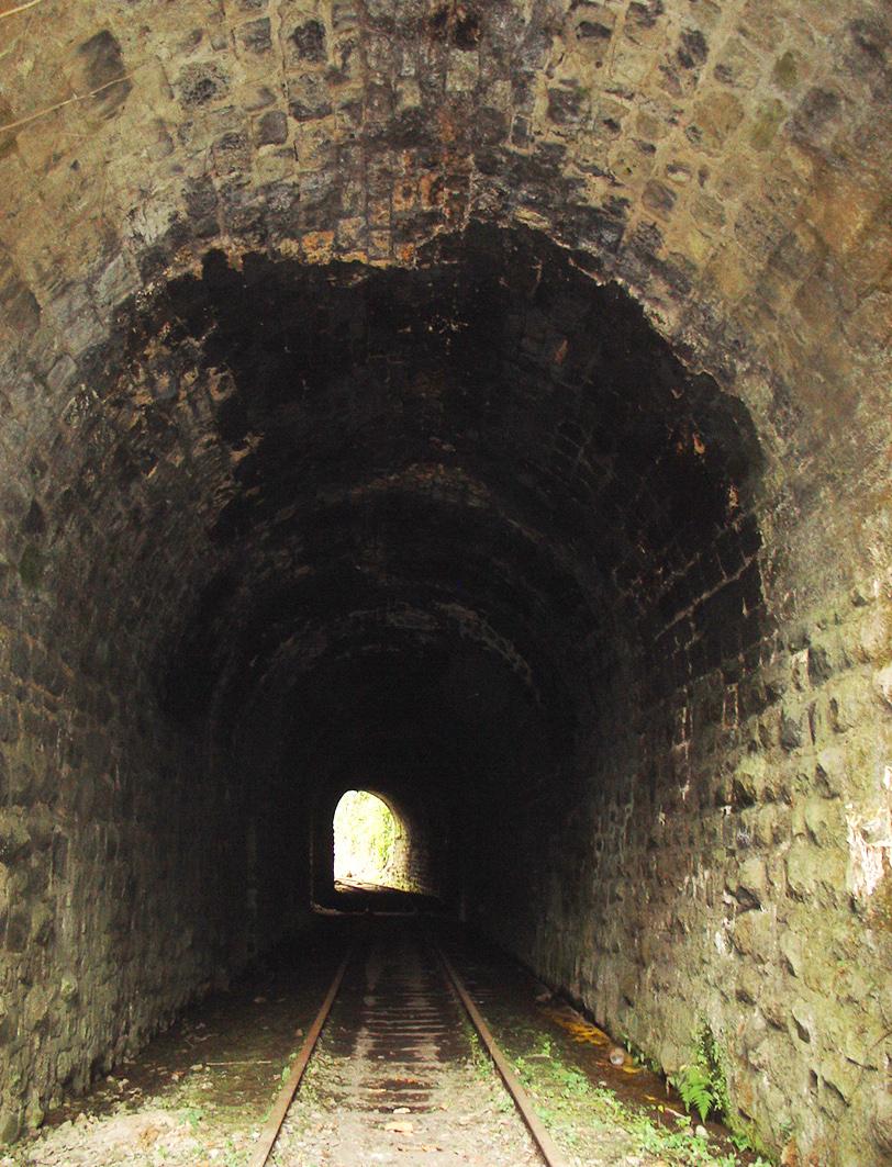 Túnel 3 del Antiguo Tramo Ferroviario Sumidero-Fortín de las Flores