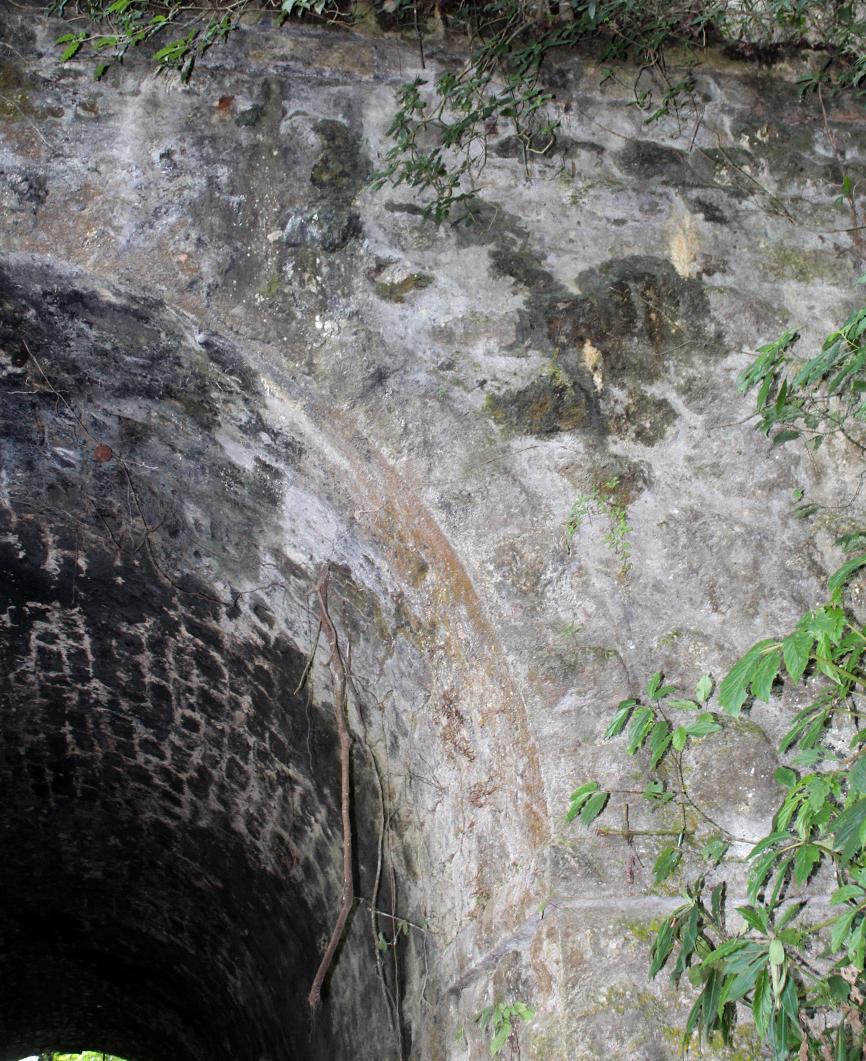 Túnel 5 del Antiguo Tramo Ferroviario Sumidero-Fortín de las Flores