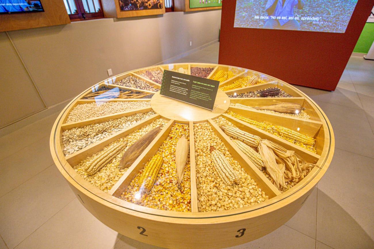 Museo Histórico de la Ciudad de Felipe Carrillo Puerto
