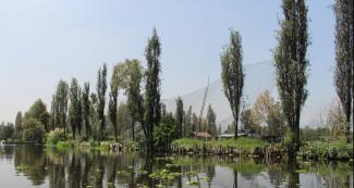 Canales de Xochimilco