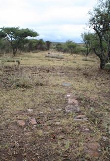 Tramo del Camino Real entre Ojocaliente y Zacatecas