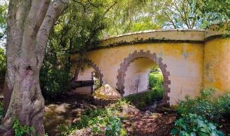 Puente de Atongo