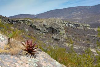 Cuevas Prehistóricas de Yagul y Mitla