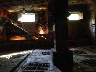 Paisaje agavero y las antiguas instalaciones industriales de Tequila