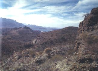 Santuario de Ballenas en Lagunas de Vizcaíno