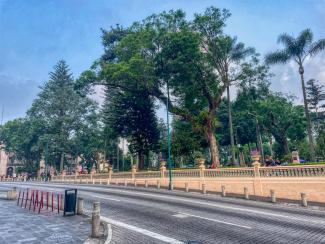 Parque Juarez Xalapa