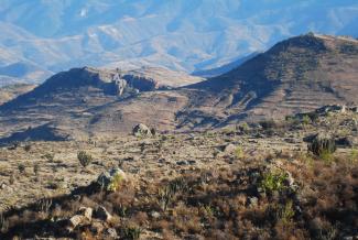 Cuevas de Mitla y Yagul