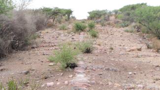 Tramo del Camino Real entre Ojocaliente y Zacatecas