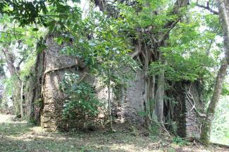 Antiguo Molino del Puente
