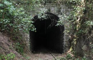 Túnel 4 del Antiguo Tramo Ferroviario Sumidero-Fortín de las Flores