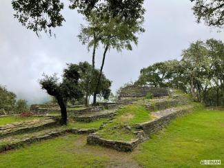 Toluquilla