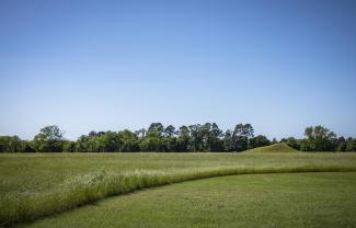 Sitio histórico estatal Caddo Mounds
