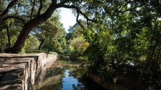 Presa Acequia del Álamo