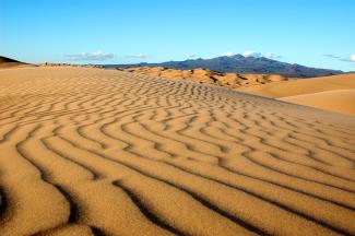 Reserva de biosfera El Pinacate y Gran Desierto de Altar
