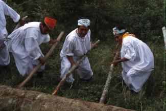 La ceremonia ritual de los Voladores
