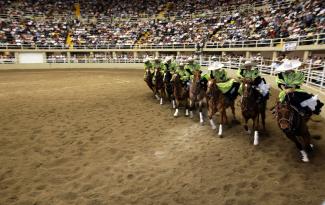 La charrería, tradición ecuestre en México