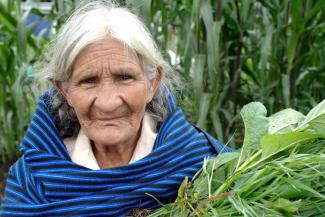 La cocina tradicional mexicana: Una cultura comunitaria, ancestral y viva y el paradigma de Michoacán