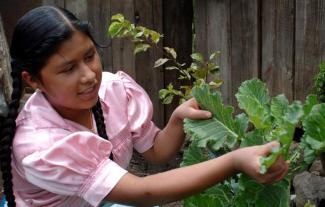 La cocina tradicional mexicana: Una cultura comunitaria, ancestral y viva y el paradigma de Michoacán