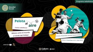 Pelota al aire