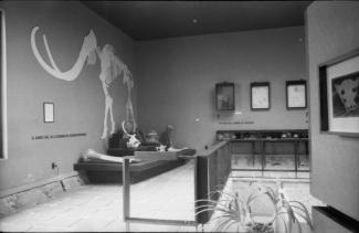 Sala de exposición del museo