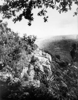 Tetzcotzinco