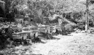Quiahuiztlán