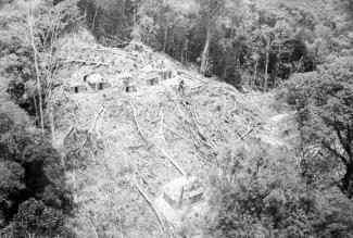 Histórica Bonampak