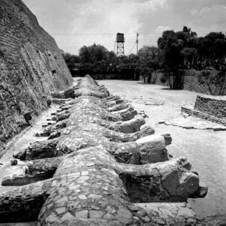 Tenayuca