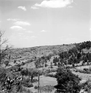 Histórica Cacaxtla - Xochitécatl