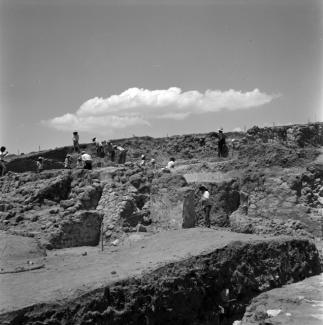 Histórica Cacaxtla - Xochitécatl