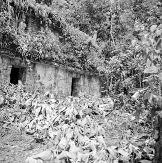 Histórica Bonampak