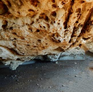 Cuevas de Mitla y Yagul