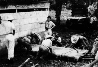 Palenque