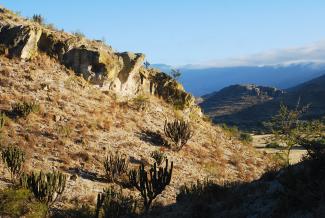 Cuevas de Mitla y Yagul