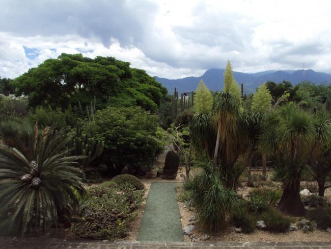 Jardín Histórico Etnobotánico de Oaxaca