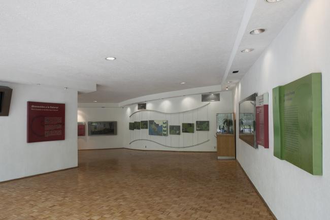 Sala Los años finales del Virreinato