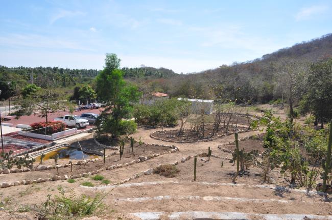 Jardín etnobotánico