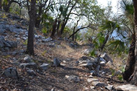 Sendero sur