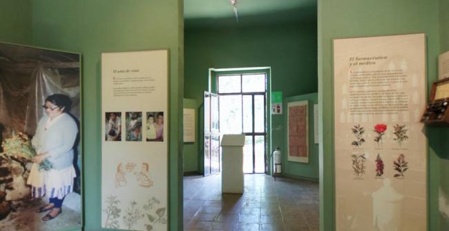 Sala La medicina como respuesta sociocultural ante la enfermedad