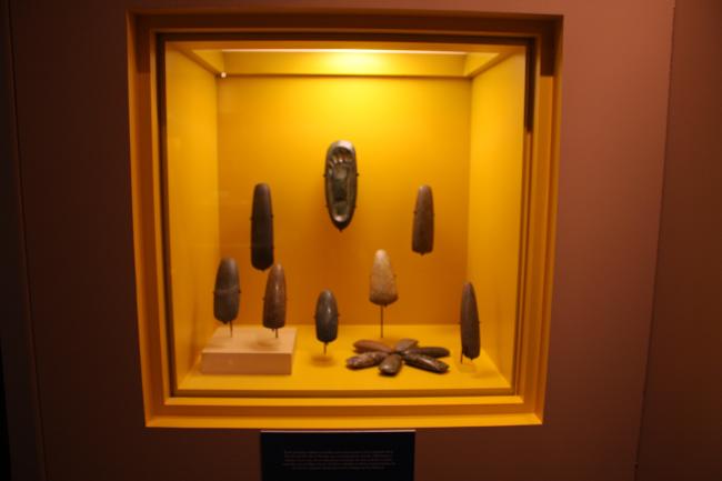 Colección Manatí