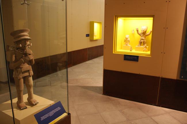 El cuerpo humano