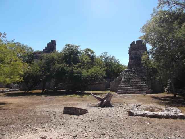 Torre